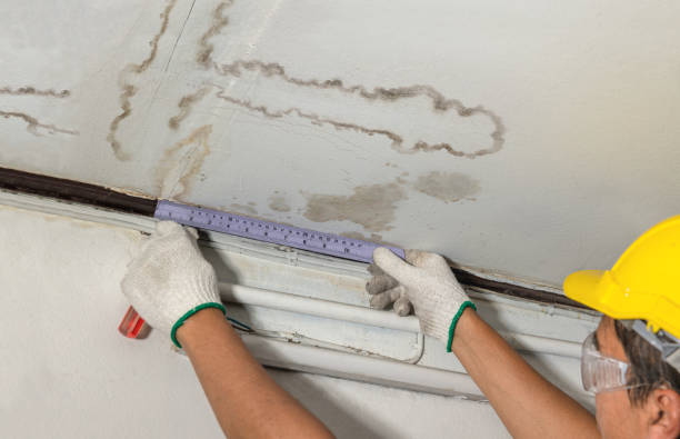 Reliable Water Extraction contractor in Norwich, CT by Water Damage Irwin